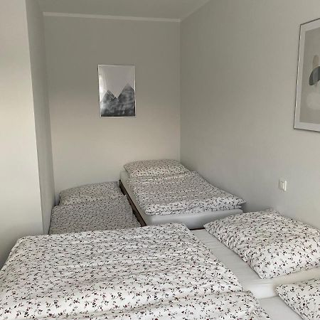 Apartman V Koutech โคตี ภายนอก รูปภาพ